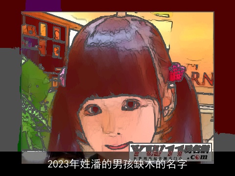 2023年姓潘的男孩缺木的名字