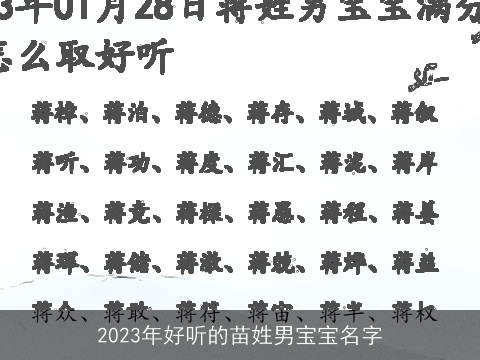 2023年好听的苗姓男宝宝名字