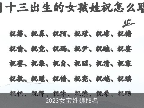 2023女宝姓魏取名