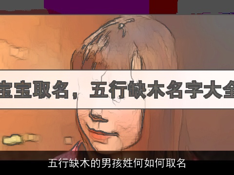 五行缺木的男孩姓何如何取名