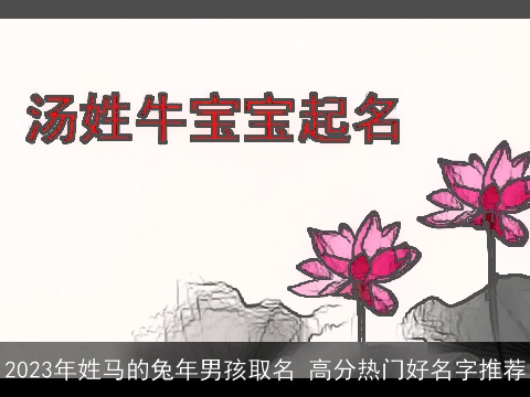 2023年姓马的兔年男孩取名 高分热门好名字推荐