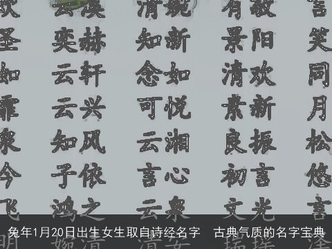 龙年1月20日出生女生取自诗经名字  古典气质的名字宝典