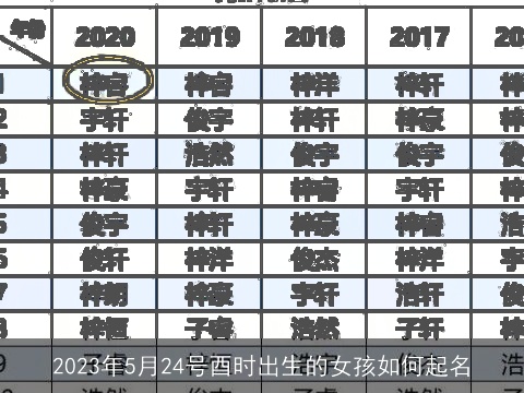 2023年5月24号酉时出生的女孩如何起名