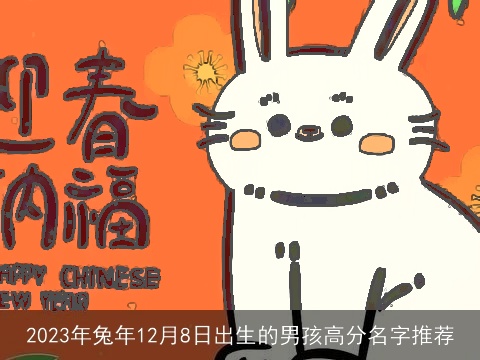 2023年兔年12月8日出生的男孩高分名字推荐