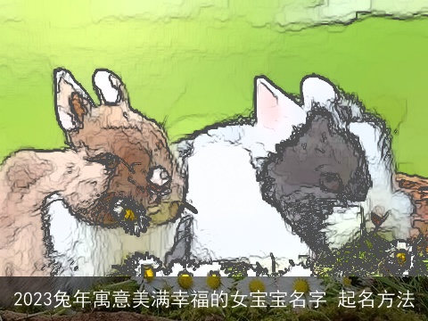 2023兔年寓意美满幸福的女宝宝名字 起名方法
