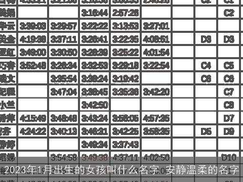 2023年1月出生的女孩叫什么名字 安静温柔的名字