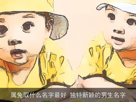 属兔取什么名字最好 独特新颖的男生名字