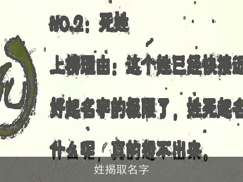 姓揭取名字