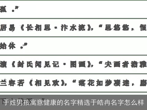 于姓男孩寓意健康的名字精选于皓冉名字怎么样