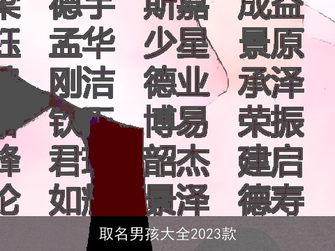 取名男孩大全2023款