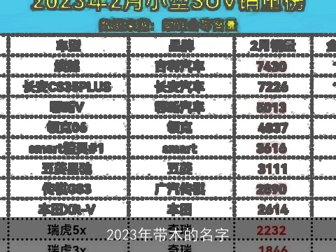 2023年带木的名字