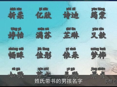 姓氏带书的男孩名字