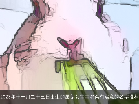 2023年十一月二十三日出生的属兔女宝宝温柔有寓意的名字推荐