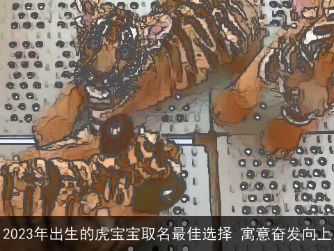2023年出生的虎宝宝取名最佳选择 寓意奋发向上
