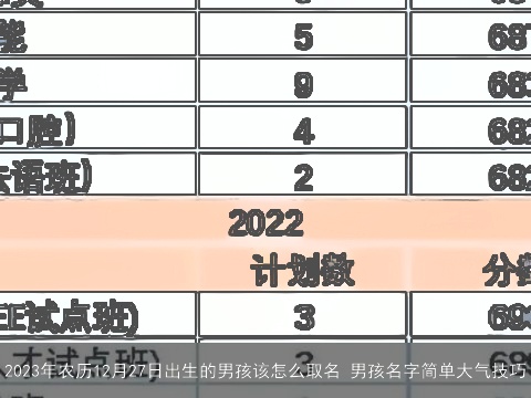 2023年农历12月27日出生的男孩该怎么取名 男孩名字简单大气技巧