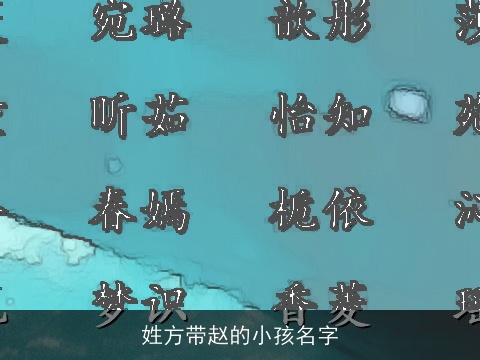 姓方带赵的小孩名字