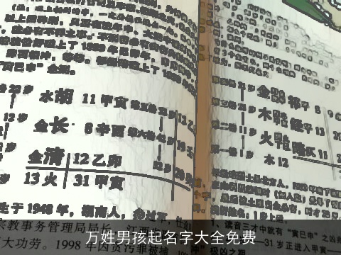 万姓男孩起名字大全免费