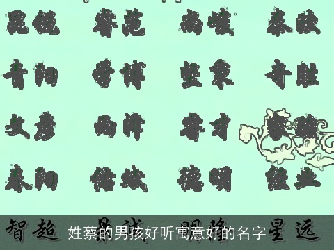姓蔡的男孩好听寓意好的名字