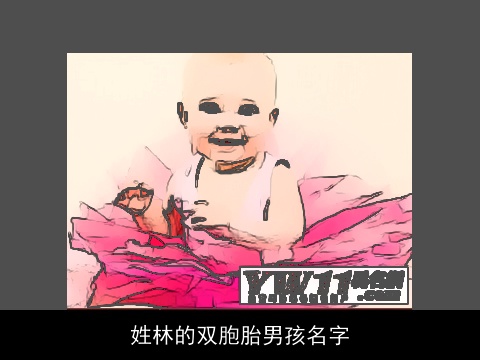 姓林的双胞胎男孩名字