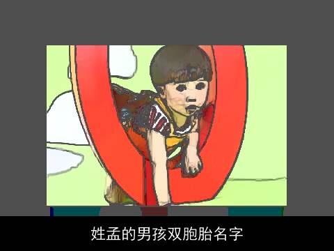 姓孟的男孩双胞胎名字