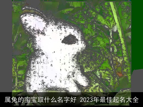 属兔的宝宝取什么名字好 2023年最佳起名大全