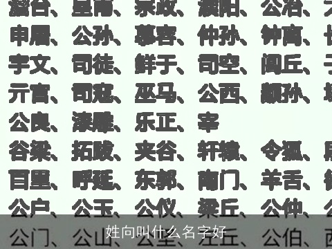 姓向叫什么名字好