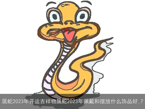 属蛇2023年开运吉祥物属蛇2023年佩戴和摆放什么饰品好_7