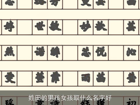 姓田的男孩女孩取什么名字好