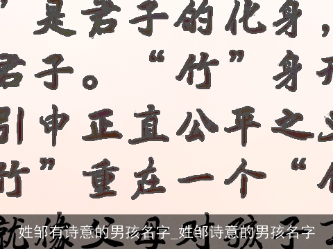 姓邹有诗意的男孩名字_姓邹诗意的男孩名字