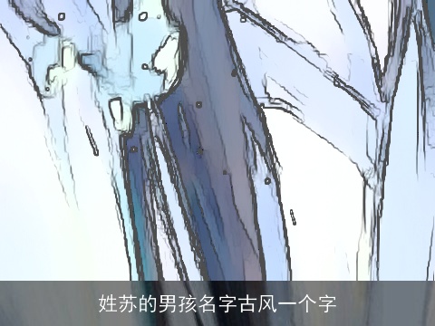 姓苏的男孩名字古风一个字