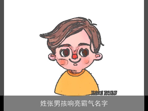 姓张男孩响亮霸气名字