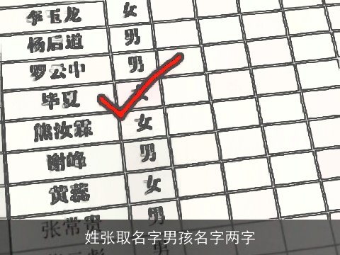 姓张取名字男孩名字两字
