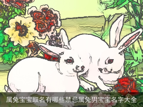 属兔宝宝取名有哪些禁忌属兔男宝宝名字大全