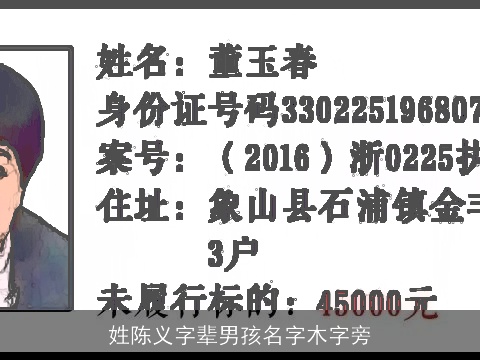 姓陈义字辈男孩名字木字旁