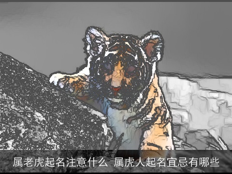 属老虎起名注意什么 属虎人起名宜忌有哪些