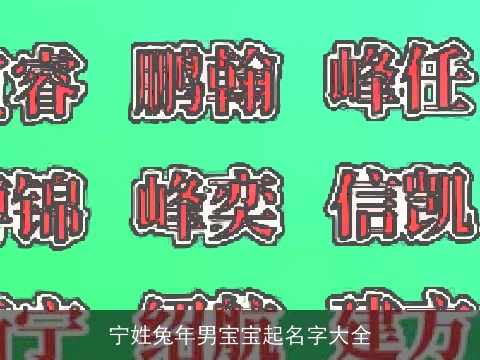 宁姓兔年男宝宝起名字大全