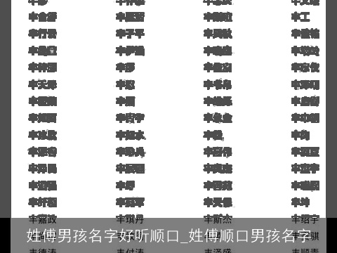 姓傅男孩名字好听顺口_姓傅顺口男孩名字