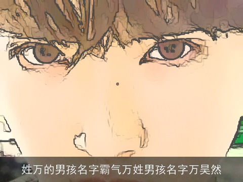 姓万的男孩名字霸气万姓男孩名字万昊然