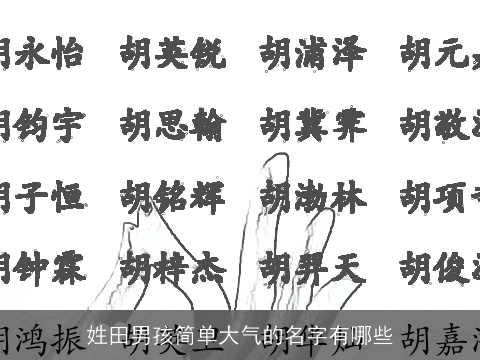 姓田男孩简单大气的名字有哪些