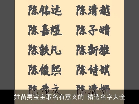 姓苗男宝宝取名有意义的 精选名字大全