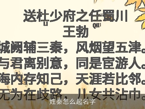 姓秦怎么起名字