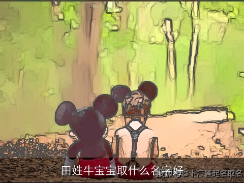 田姓龙宝宝取什么名字好