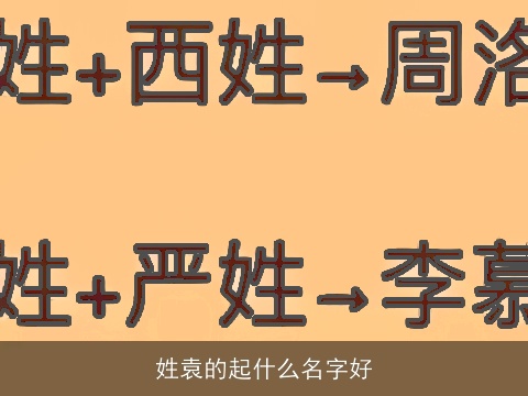 姓袁的起什么名字好