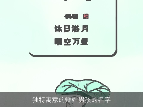 独特寓意的甄姓男孩的名字