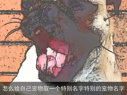 怎么给自己宠物取一个特别名字特别的宠物名字