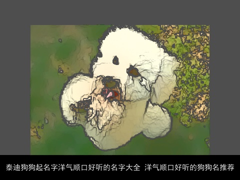 泰迪狗狗起名字洋气顺口好听的名字大全 洋气顺口好听的狗狗名推荐