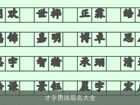 才字男孩取名大全