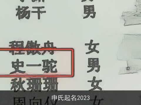 申氏起名2023