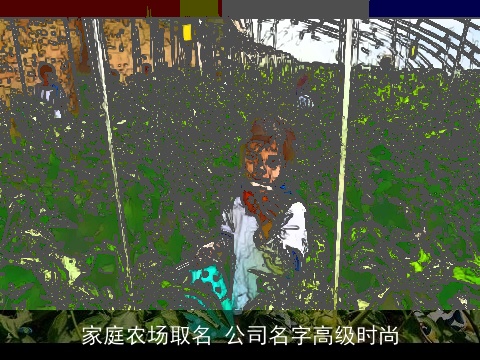 家庭农场取名 公司名字高级时尚