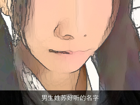 男生姓苏好听的名字